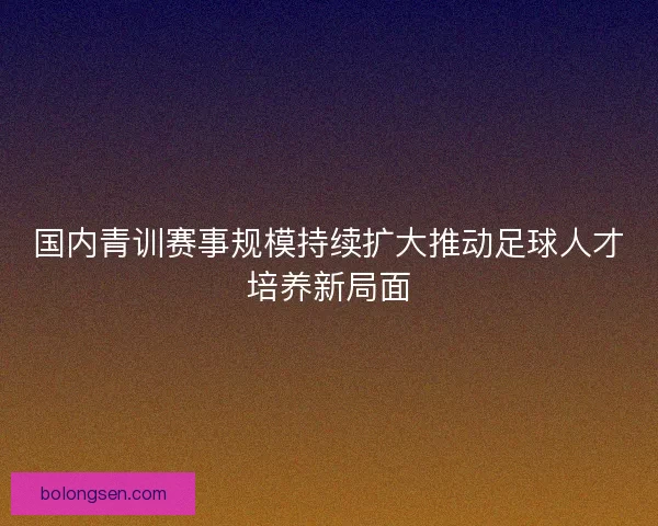 国内青训赛事规模持续扩大推动足球人才培养新局面
